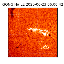 gong - 2025-06-23T06:00:42