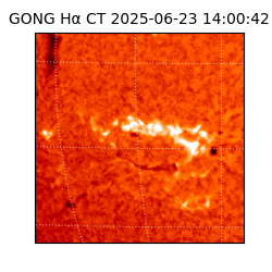 gong - 2025-06-23T14:00:42