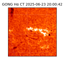 gong - 2025-06-23T20:00:42