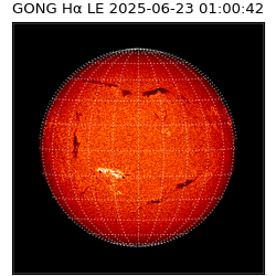 gong - 2025-06-23T01:00:42