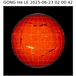 gong - 2025-06-23T02:00:42