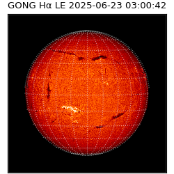 gong - 2025-06-23T03:00:42