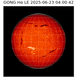 gong - 2025-06-23T04:00:42