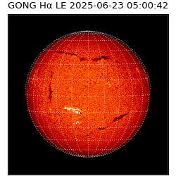 gong - 2025-06-23T05:00:42