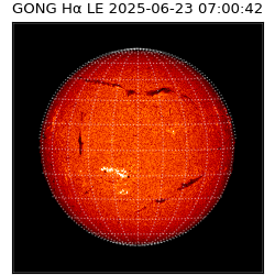 gong - 2025-06-23T07:00:42