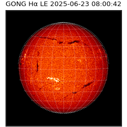 gong - 2025-06-23T08:00:42