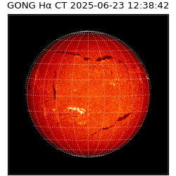 gong - 2025-06-23T12:38:42