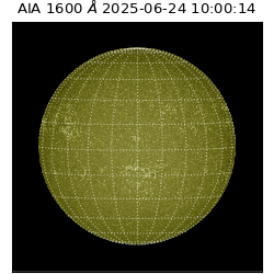 saia - 2025-06-24T10:00:14.125000