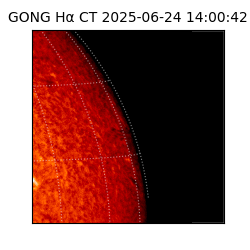 gong - 2025-06-24T14:00:42