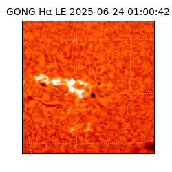 gong - 2025-06-24T01:00:42