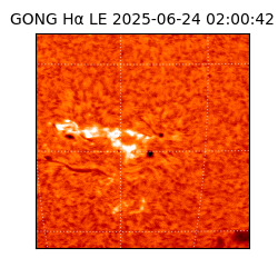 gong - 2025-06-24T02:00:42