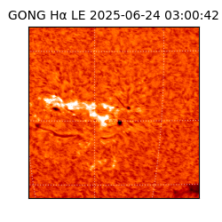 gong - 2025-06-24T03:00:42