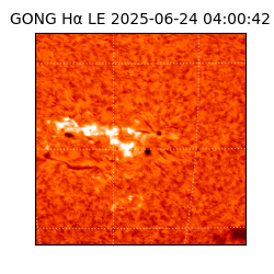 gong - 2025-06-24T04:00:42