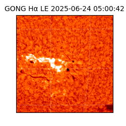 gong - 2025-06-24T05:00:42