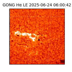 gong - 2025-06-24T06:00:42