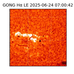 gong - 2025-06-24T07:00:42