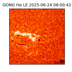 gong - 2025-06-24T08:00:42