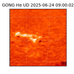 gong - 2025-06-24T09:00:02