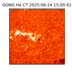 gong - 2025-06-24T15:00:42