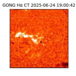 gong - 2025-06-24T19:00:42