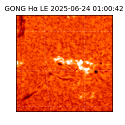 gong - 2025-06-24T01:00:42