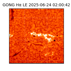 gong - 2025-06-24T02:00:42