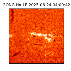 gong - 2025-06-24T04:00:42