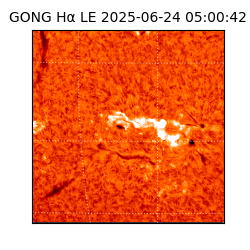 gong - 2025-06-24T05:00:42