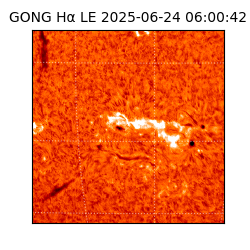 gong - 2025-06-24T06:00:42