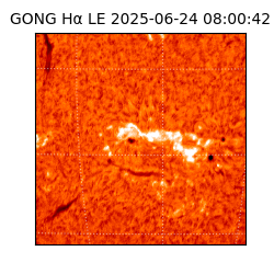 gong - 2025-06-24T08:00:42