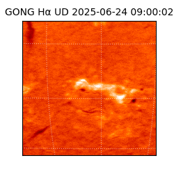 gong - 2025-06-24T09:00:02