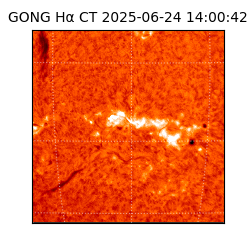 gong - 2025-06-24T14:00:42