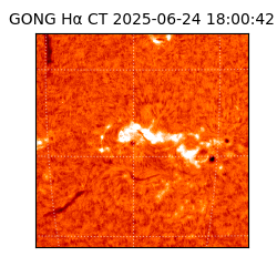 gong - 2025-06-24T18:00:42