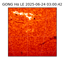 gong - 2025-06-24T03:00:42