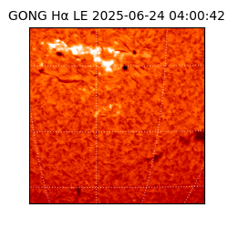 gong - 2025-06-24T04:00:42