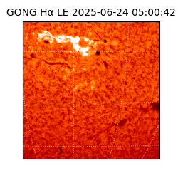 gong - 2025-06-24T05:00:42