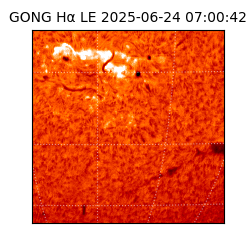 gong - 2025-06-24T07:00:42