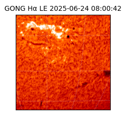 gong - 2025-06-24T08:00:42