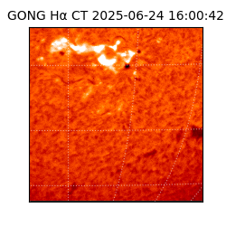 gong - 2025-06-24T16:00:42