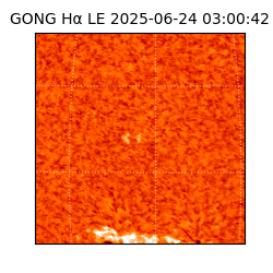 gong - 2025-06-24T03:00:42