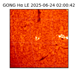 gong - 2025-06-24T02:00:42