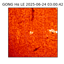 gong - 2025-06-24T03:00:42