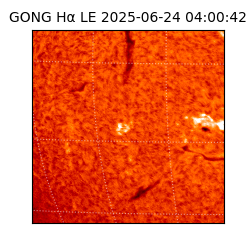 gong - 2025-06-24T04:00:42