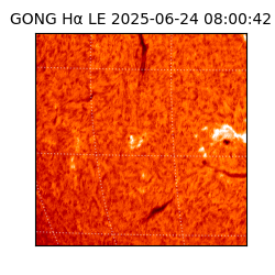 gong - 2025-06-24T08:00:42