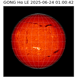 gong - 2025-06-24T01:00:42