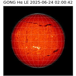 gong - 2025-06-24T02:00:42