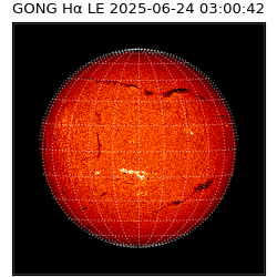 gong - 2025-06-24T03:00:42