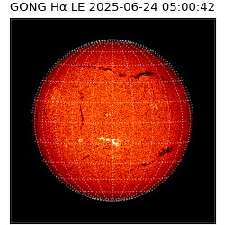 gong - 2025-06-24T05:00:42