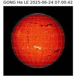 gong - 2025-06-24T07:00:42