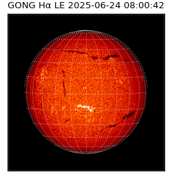 gong - 2025-06-24T08:00:42